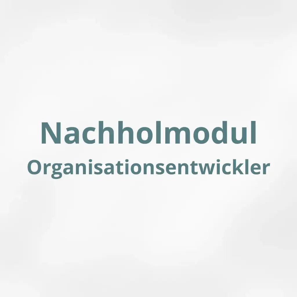 Nachholmodul Organisationsentwickler Ausbildung 